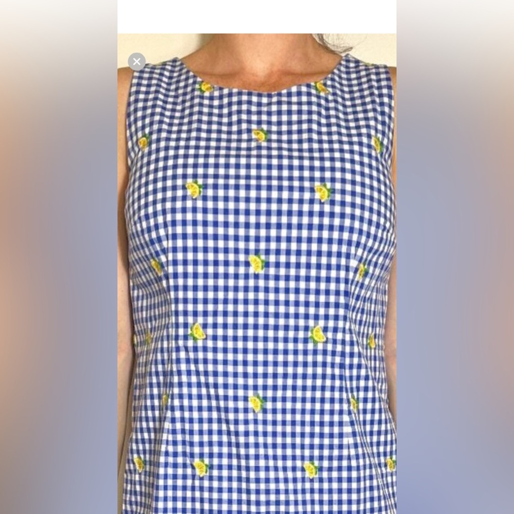 TALBOTS blue & white checkered gingham dress w/ embroidered lemons Size 10P